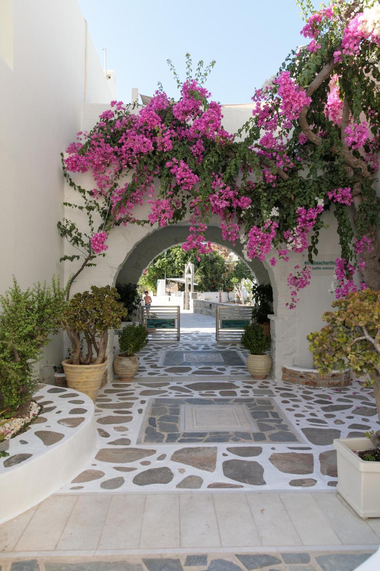 Iria Beach Art Hotel Agia Anna  Exteriér fotografie